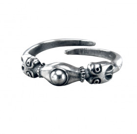 Ring from Rurik's settlement